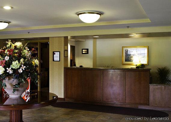 Holiday Inn Baltimore BWI Airport By Ihg Linthicum İç mekan fotoğraf